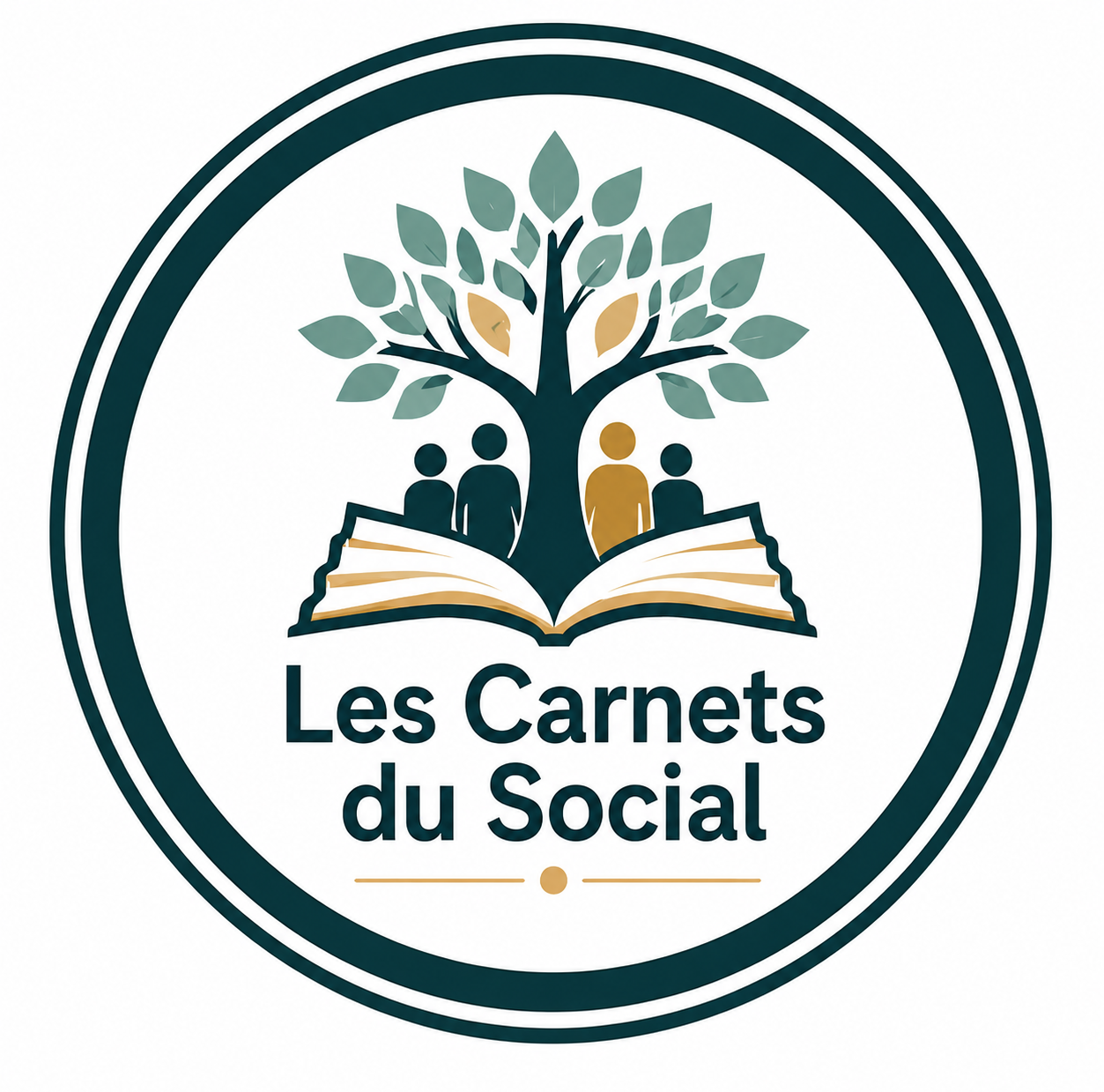 Les Carnets du Social